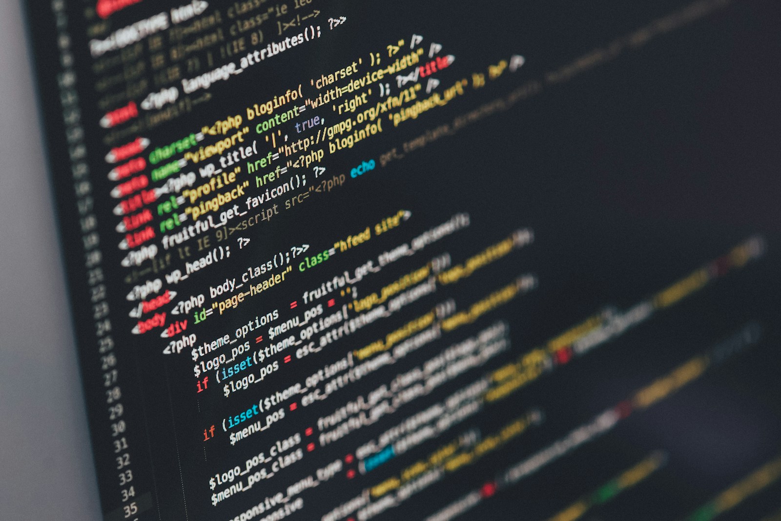 Custom Web Development